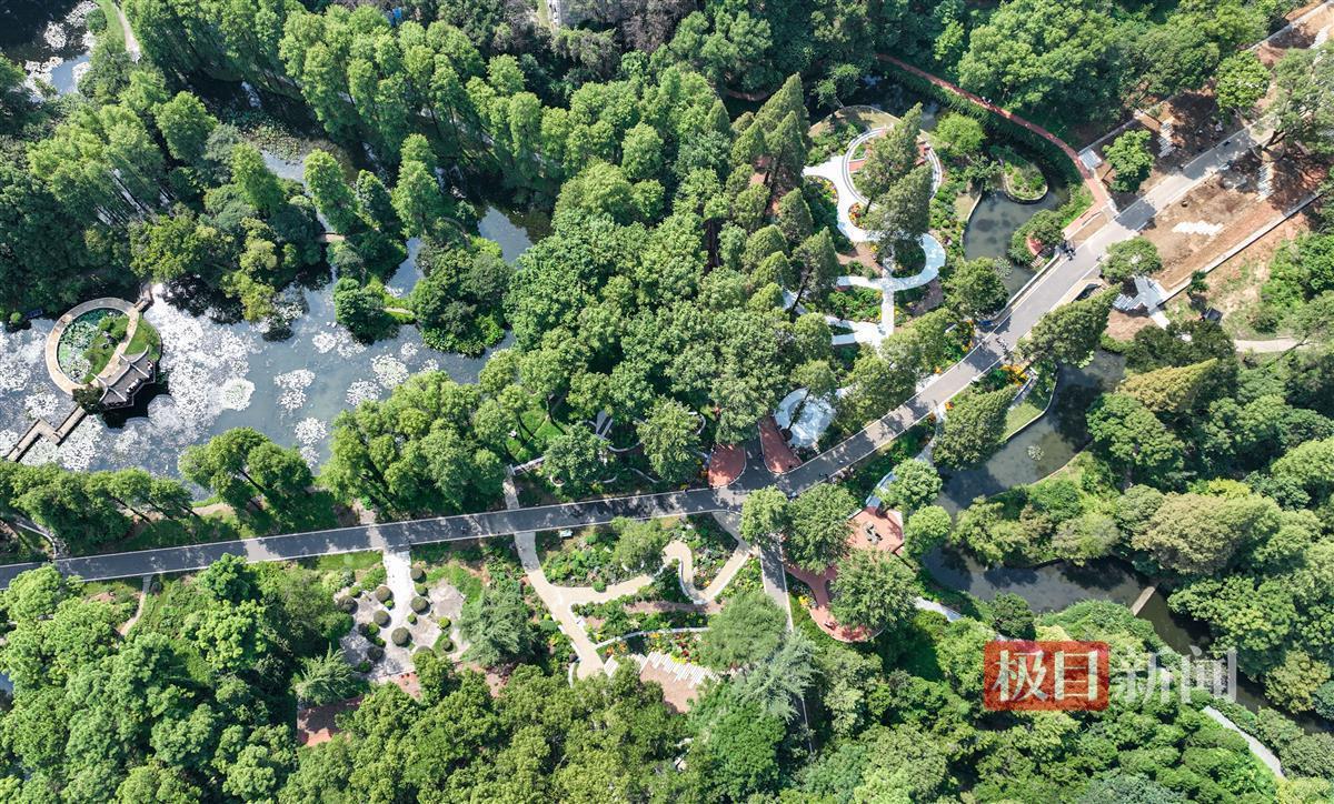 巴黎人的登录网址